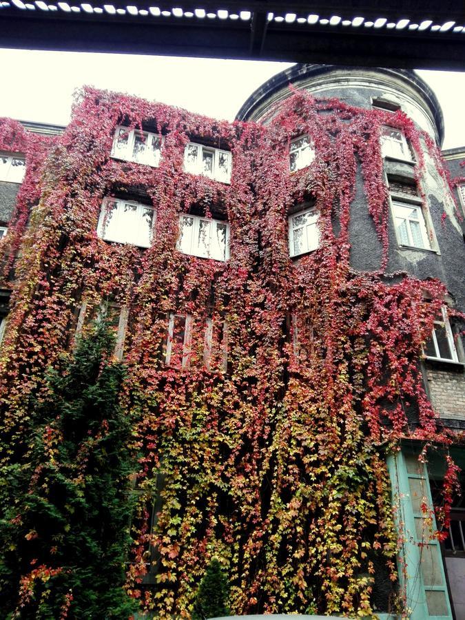 Bed and Breakfast Bristol Economy Бытом Экстерьер фото